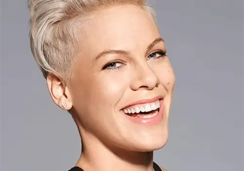 Pink cancela conciertos en CDMX