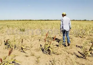 La migraci&oacute;n incrementa importaci&oacute;n de granos