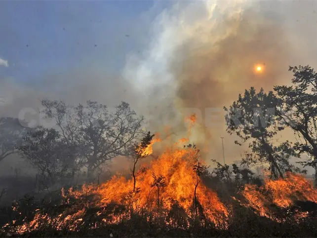 Chiapas, en color rojo por hect&aacute;reas quemadas