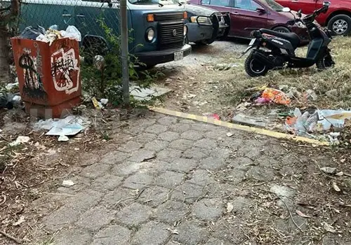 Persiste abandono del parque Noquis