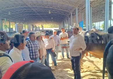 Universitarios conocen actividad pecuaria