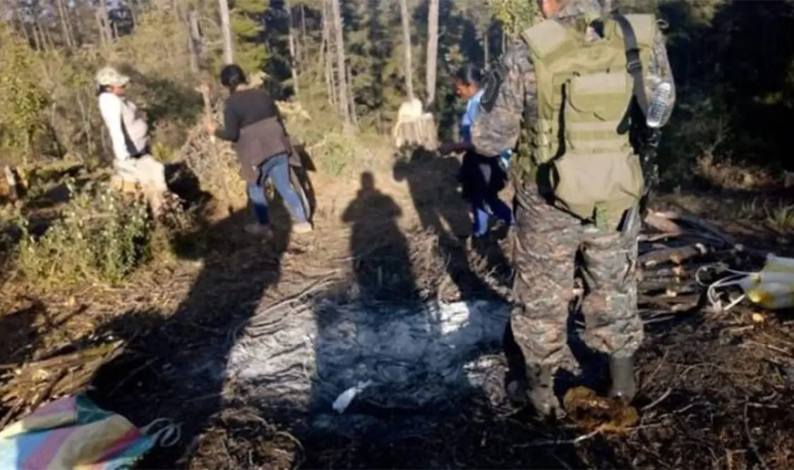 Senado da nuevas atribuciones a la Guardia Nacional