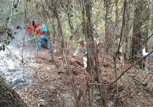 Brigadas sofocan incendio forestal