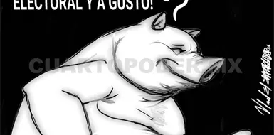 ¿Qué hacer con los plurinominales? ¿Qué hacer con los plurinominales?