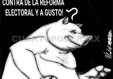 ¿Qué hacer con los plurinominales? ¿Qué hacer con los plurinominales?