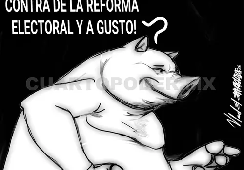 &iquest;Qu&eacute; hacer con los plurinominales?