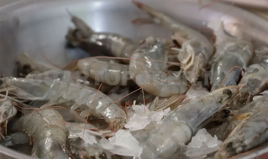 De acuerdo con la Conapesca, en Chiapas se produce camarón por pesca y acuacultura. Diego Pérez / CP