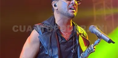 Elefante se presenta con &eacute;xito en Tuxtla