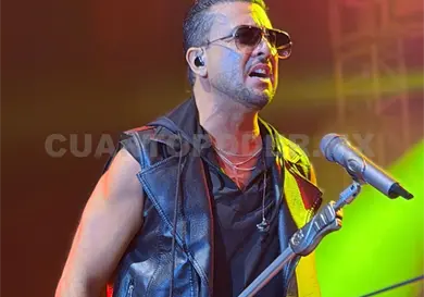 Elefante se presenta con &eacute;xito en Tuxtla