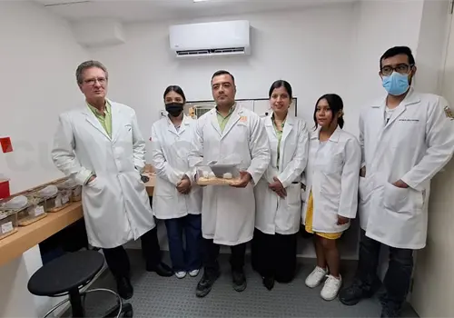 Estudian en la Unach plantas medicinales Estudian en la Unach plantas medicinales