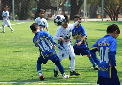 Boca Juniors se impone ante Necaxa