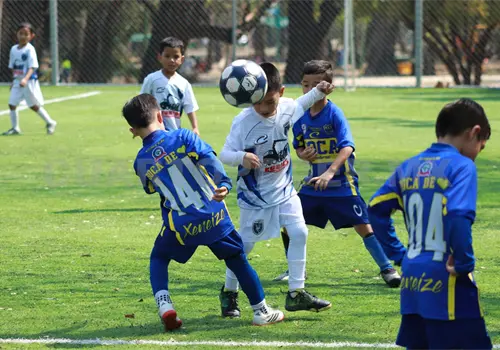 Boca Juniors se impone ante Necaxa
