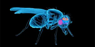 Un experimento revolucionario