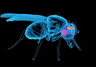 Un experimento revolucionario