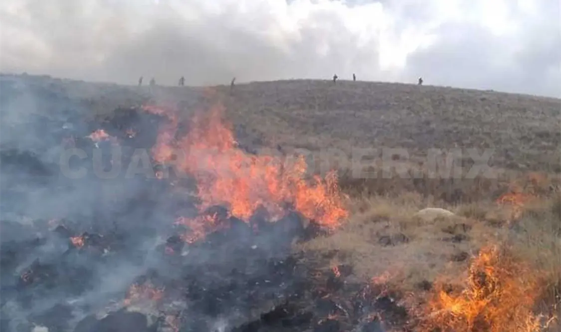 Invitan a la población a reportar de manera inmediata cualquier incendio o quema fuera de control. Diego Pérez / CP