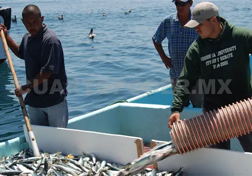 Beneficiarios del programa deben renovar tarjetas Beneficiarios del programa deben renovar tarjetas