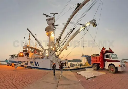 Inicia operaciones la empresa Bumble Bee en Puerto Chiapas Inicia operaciones la empresa Bumble Bee en Puerto Chiapas