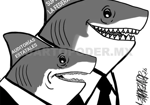 La fiscalizaci&oacute;n que falta