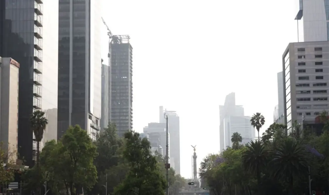 La contaminación de las ciudades, postula la Iglesia, es porque crecen sin armonía con su entorno. Cortesía
