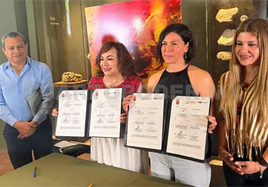 Encuentran nueva especie de mosca f&oacute;sil en &aacute;mbar