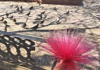 Anuncia sosp&oacute; llegada de la primavera