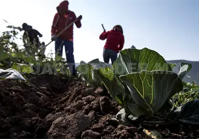 Agilizan tr&aacute;mite para acceso a subsidio
