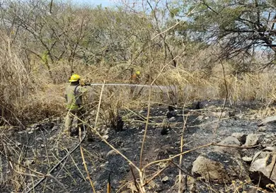 Controlan incendio de pastizal en la autopista Controlan incendio de pastizal en la autopista