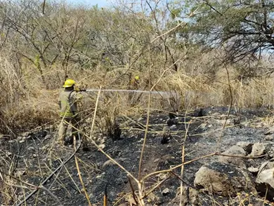 Controlan incendio de pastizal en la autopista