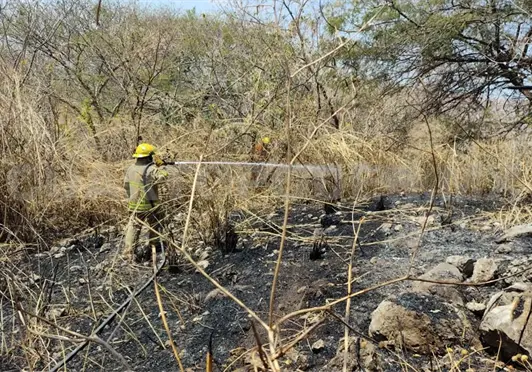 Controlan incendio de pastizal en la autopista