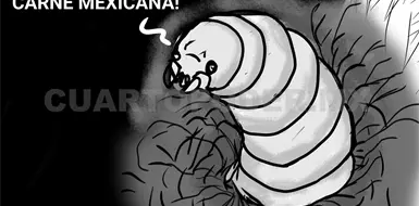 El gusano barrenador: La falsa soluci&oacute;n de los filtros