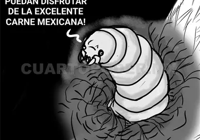 El gusano barrenador: La falsa soluci&oacute;n de los filtros