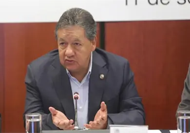 Descarta alianza de Morena con Verde en San Luis potosí Descarta alianza de Morena con Verde en San Luis potosí