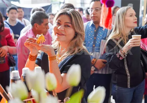 Consumamos lo hecho en Chiapas: Sof&iacute;a Espinoza