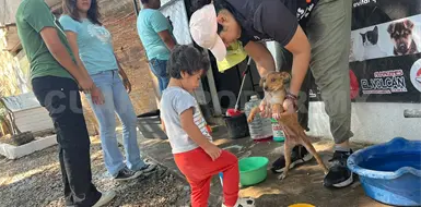 Invitan a Feria de Adopci&oacute;n de Mascotas  este domingo