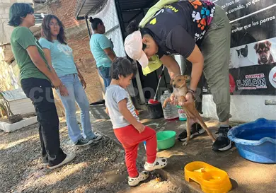 Invitan a Feria de Adopción de Mascotas este domingo Invitan a Feria de Adopción de Mascotas este domingo