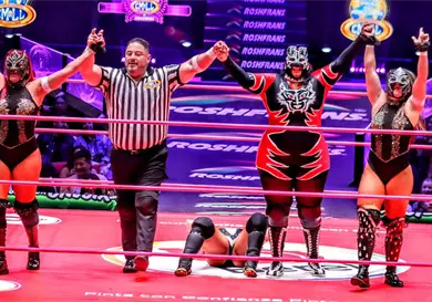 En duelo de Artemisas, una saldrá sin cabellera En duelo de Artemisas, una saldrá sin cabellera