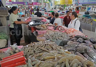 Refuerzan la vigilancia sanitaria por temporada Refuerzan la vigilancia sanitaria por temporada