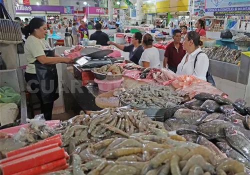 Refuerzan la vigilancia sanitaria por temporada