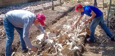 Superan productores crisis de inseguridad en la entidad