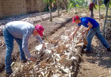 Superan productores crisis de inseguridad en la entidad Superan productores crisis de inseguridad en la entidad
