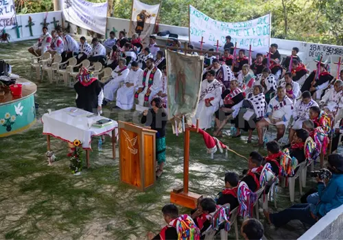 En México no hay voluntad política para investigar En México no hay voluntad política para investigar