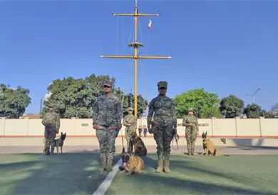 Realizan ceremonia de retiro a elemento canino