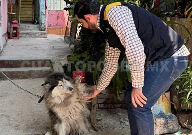 Rescatan a canino en condiciones de maltrato