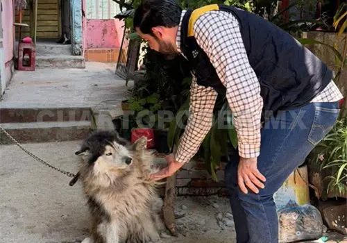 Rescatan a canino en condiciones de maltrato