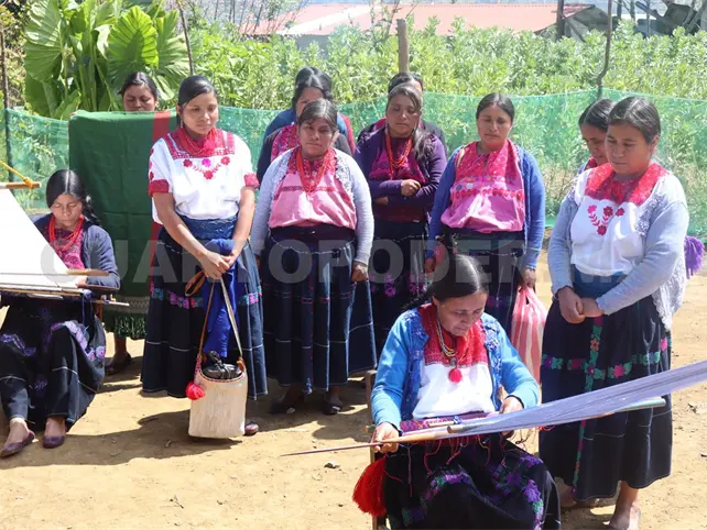 Investigan adeudo a artesanas tsotsiles