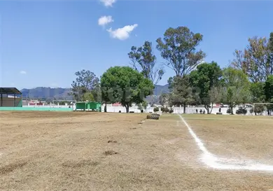 Fabiola Ricci intenta despojar &aacute;reas verdes