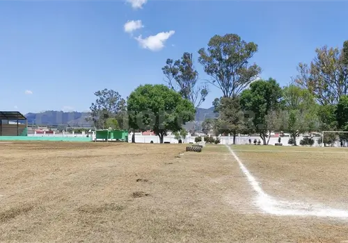 Fabiola Ricci intenta despojar &aacute;reas verdes