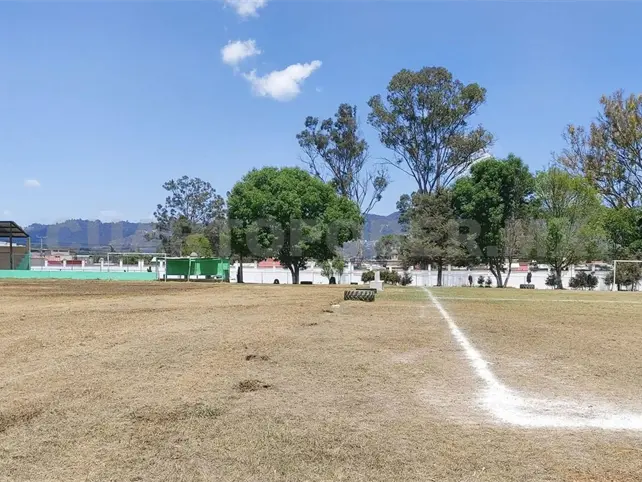 Fabiola Ricci intenta despojar áreas verdes Fabiola Ricci intenta despojar áreas verdes