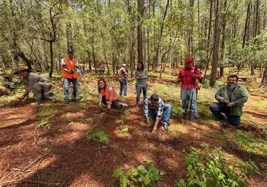 Reconocen a SCLC como Ciudad &Aacute;rbol