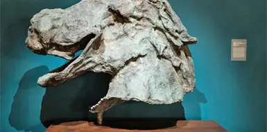 Presentan exposici&oacute;n de Salvador Dal&iacute;